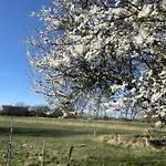 Reetkate *