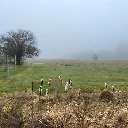 Reetkate بيت للعطل