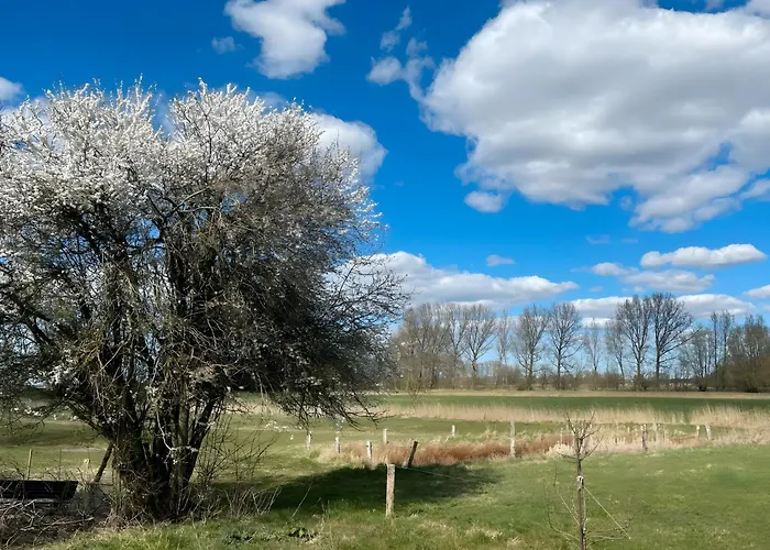 بيت للعطل Reetkate *